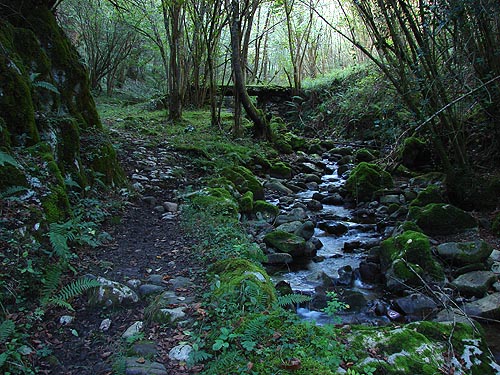 Picos de Europa Asturias